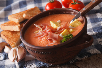 Spanish cold soup salmorejo close-up in a bowl. horizontal
