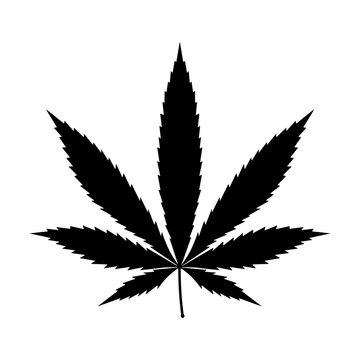 Cannabis (marijuana) hemp leaf flat icon for apps and websites