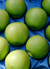 Ripe apples