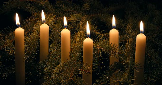 Row of white candles with spruce boughs