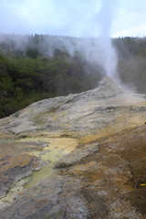 Lady Knox Geyser