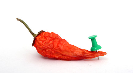 dry chilli paprika