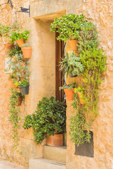 Fototapeta na wymiar Haus Eingang Geschmückt mit Pflanzen