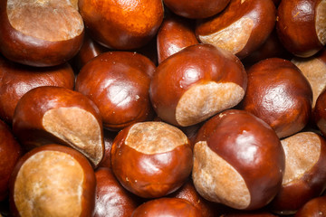 Fresh Chestnuts Macro