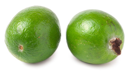 feijoa  on white background