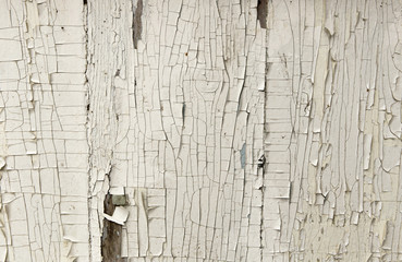 Vintage White Background Wood Wall.