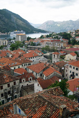 Houses in Kotor