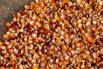 Drying Corn