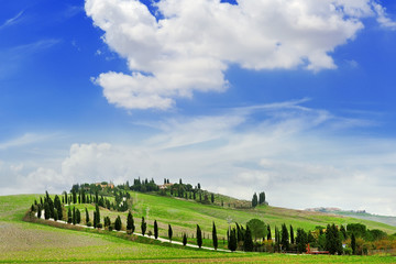Naklejka premium tuscany landscape panoramic view with hills and cypresses, toscana, italy