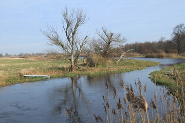 Weite, menschenleere Auenlandschaft an der Gülper Havel im Naturpark Westhavelland