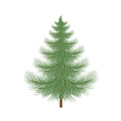 Fluffy green Christmas tree to decorate.