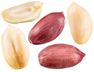 Peeled and opened peanuts.