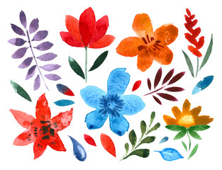 set of handpainted watercolor vector flowers and leaves. floral decorative elements