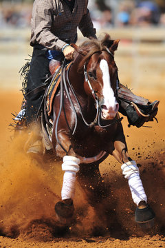 The rider is stopping the horse in the dust