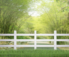 Table Top And Blur Nature of Background