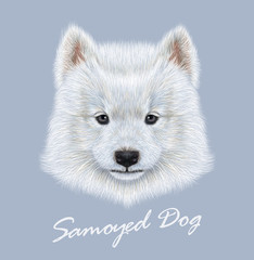 Samoyed dog animal cute face. Vector cute white eskimo spitz Samoyed puppy head portrait. Realistic fur portrait of purebred young happy siberian sammy doggy isolated on blue background.