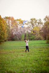 Obraz na płótnie Canvas boy flying a kite in a clearing in the forest,