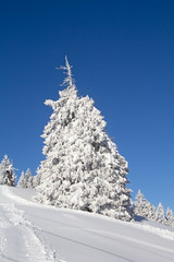 Winter in alps