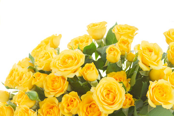 bouquet of fresh roses