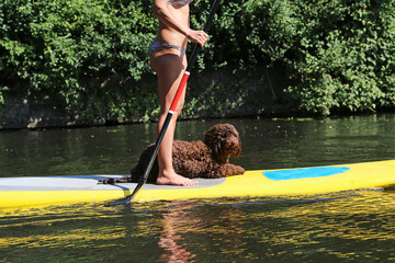 Stehpaddlerin mit Hund