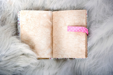  Antique blank book