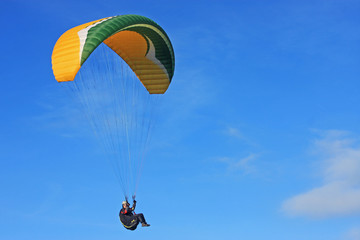 Paraglider