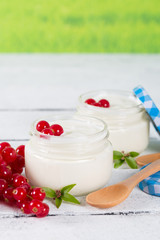Yogurt with red currant