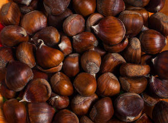 Group of chestnuts illuminated by a light side. Autumn background