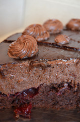 Chocolate cake piece