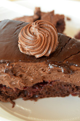 Chocolate cake piece