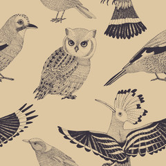 vector hand drawn seamless pattern with wild birds © darina13