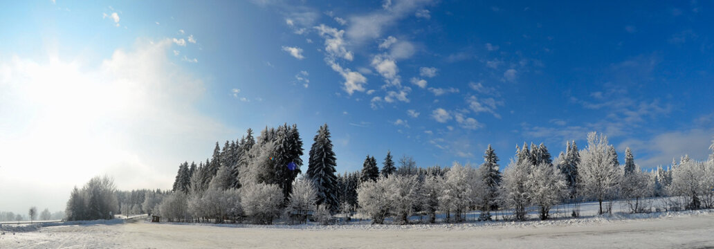 Fototapeta Winter Panorama Landschaft Wald 