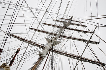 Boat tree