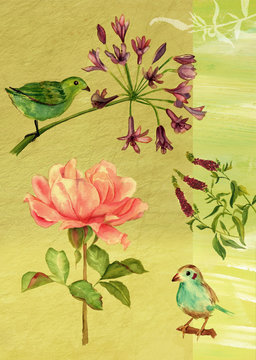 Vintage postcard design with watercolor drawings of birds and flowers