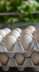 Eggs on  a market