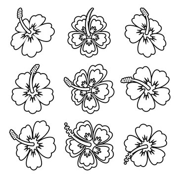 Vector Hibiscus Flower Outline Icons