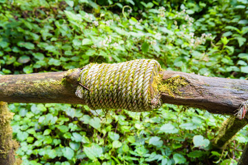 Moss around old wooden block with a rope for passage in the prim