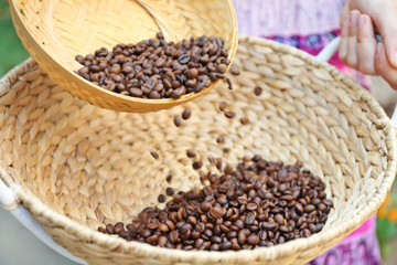 Woman carries wattled basket with roasted coffee beans