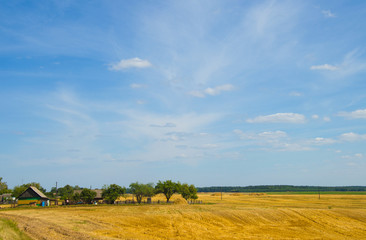 rural countryside in sunny summer day