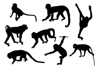 collection of silhouette monkey, animal vector