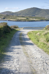 Path on Valentia Island with Kerry Peninsula