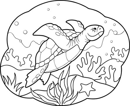 sea turtle
