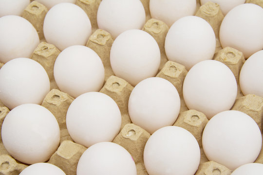 Eggs in carton with clipping path