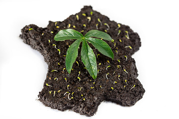 Carte de France avec plantations et une feuille 