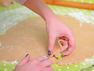 Woman hand prepare gingerbread for Christmas