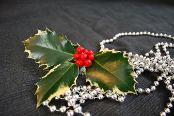 Beautiful christmas holly and red berries