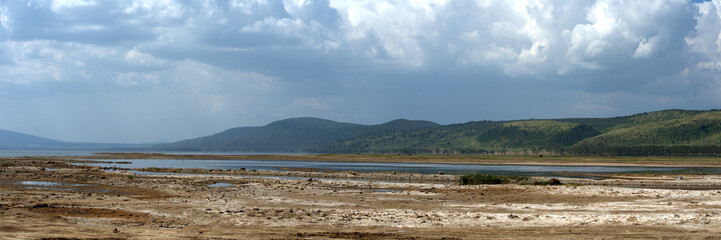 Fototapeta na wymiar Savannah panorama in the National park of Kenya