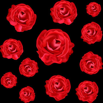 Vector floral seamless texture with scarlet roses