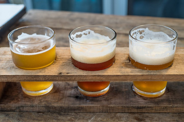 Craft beer in the glass