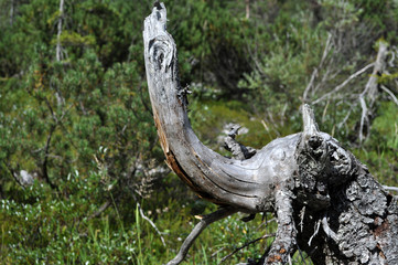 Silberkarklamm, Steiermark, Österreich